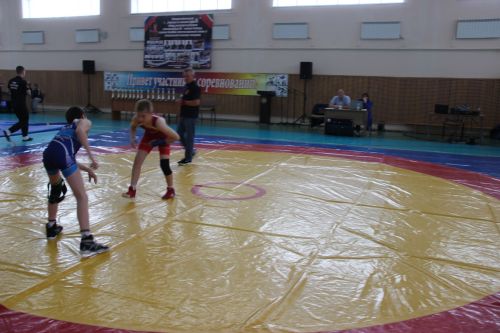 Межрегиональный турнир по вольной борьбе