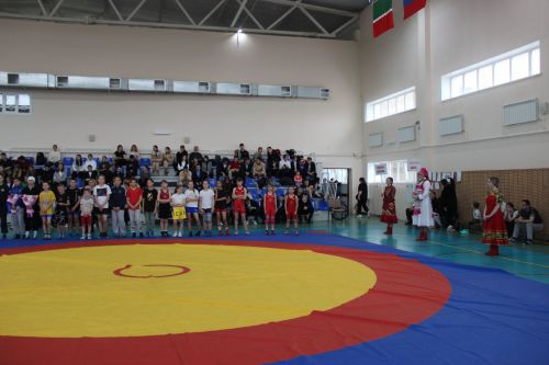 Межрегиональный турнир по вольной борьбе