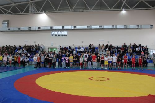 Межрегиональный турнир по вольной борьбе