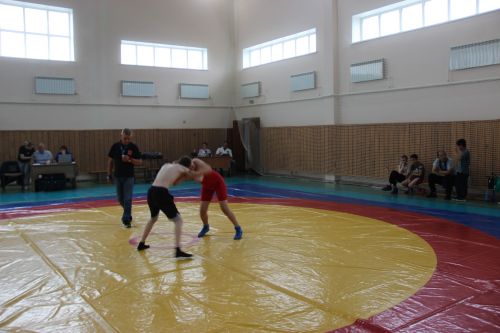 Межрегиональный турнир по вольной борьбе