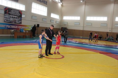 Межрегиональный турнир по вольной борьбе