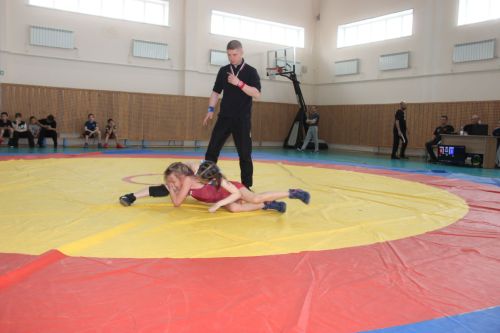 Межрегиональный турнир по вольной борьбе