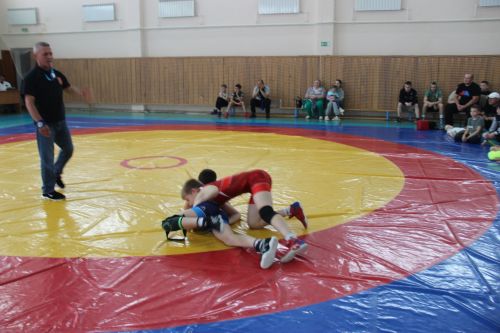 Межрегиональный турнир по вольной борьбе