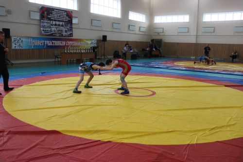 Межрегиональный турнир по вольной борьбе