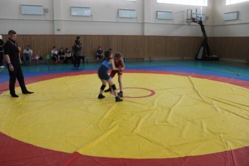 Межрегиональный турнир по вольной борьбе