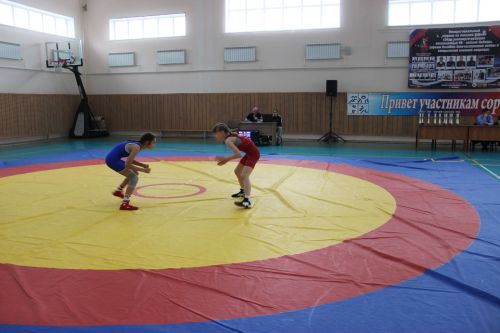 Межрегиональный турнир по вольной борьбе