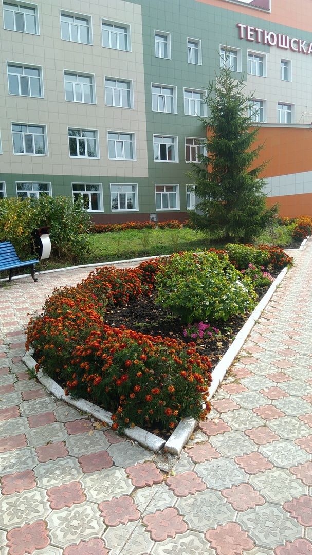 Сотрудники Минздрава России осмотрели Тетюшскую больницу