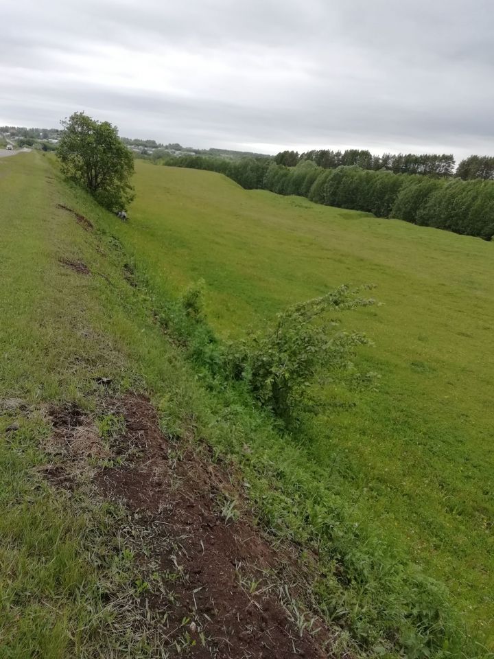 Татарстанцев приглашают принять участие в экологическом конкурсе «Хрустальный компас»