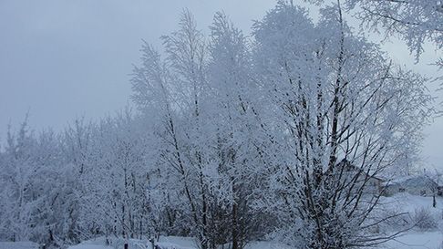 Пришла зима: в Татарстане ночью ожидаются морозы до -22 градусов