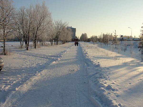 Погода в Тетюшах на 1 декабря: морозно, без осадков
