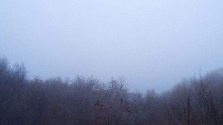 Погода в Тетюшах 7 ноября: на город опускается туман