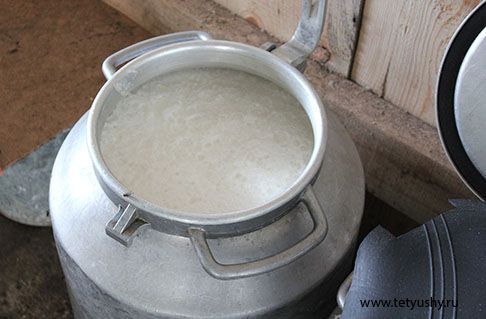 В Татарстане с начала года увеличилось производство молока