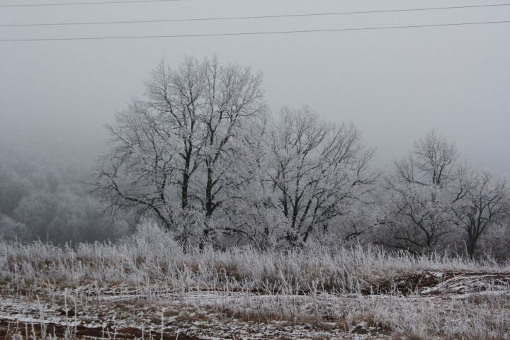 Погода в Тетюшах на 20 декабря: Облачно с прояснениями.  Местами слабый снег