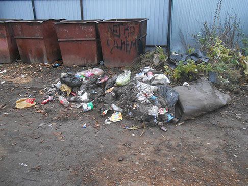Жители Татарстана узнают тариф за вывоз мусора до конца декабря