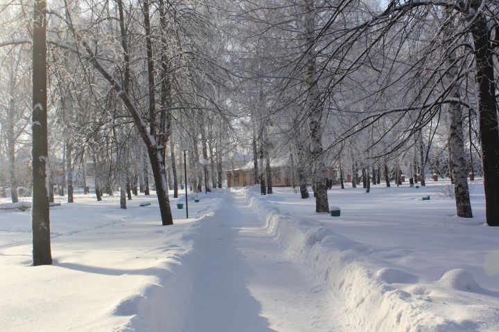Прогноз погоды по Тетюшскому району  на 28 января:  местами небольшой снег