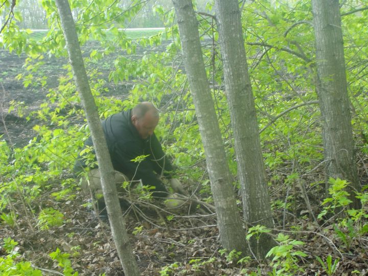Подведены итоги весеннего этапа природоохранной акции «Чистые леса Татарстана»
