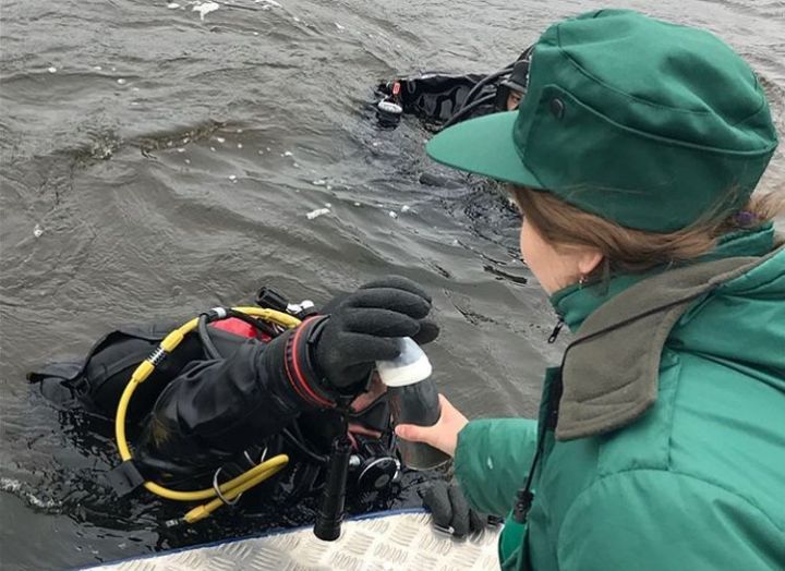 В День очистки водоемов было обследовано дно Волги