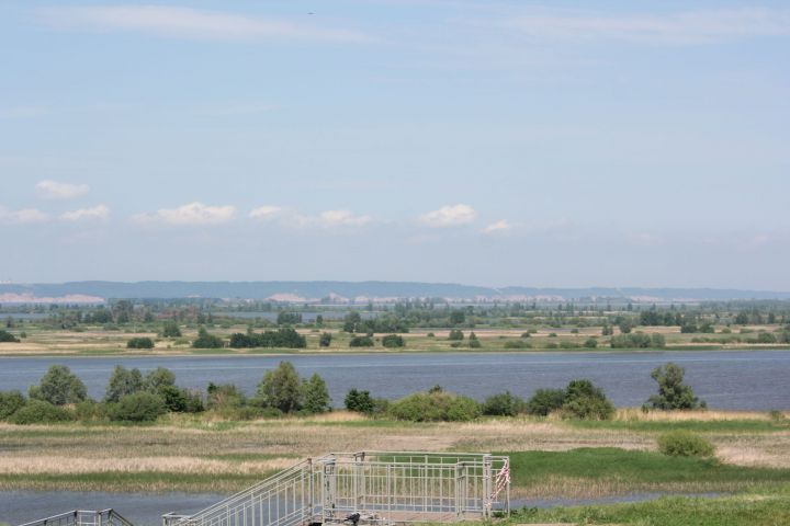 Экологи Татарстана предупреждают о  ядовитых степных гадюках в районе Болгар