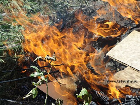 Синоптики РТ предупредили о сохранении высокой пожарной опасности в лесах