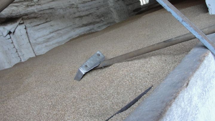 В Татарстане проверили на качество 4,3 тыс. т зерна и продуктов его переработки