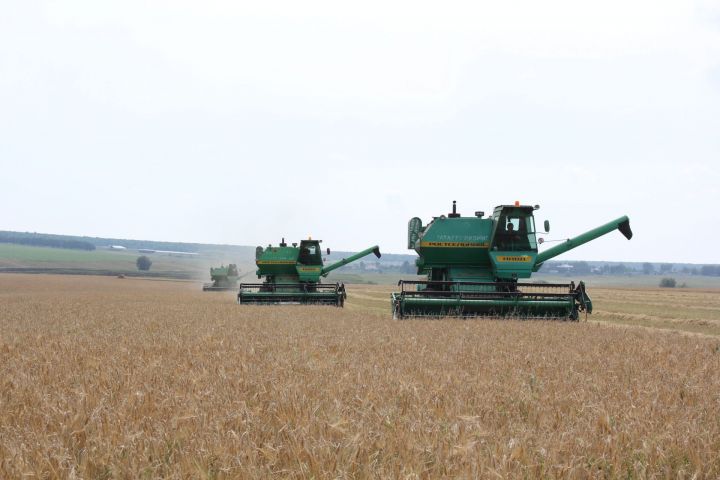 В Татарстане намолочено более 3 миллионов тонн зерна