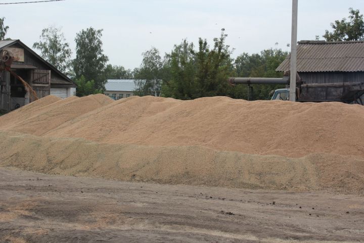 Уборка зерновых в Татарстане вошла в завершающую стадию