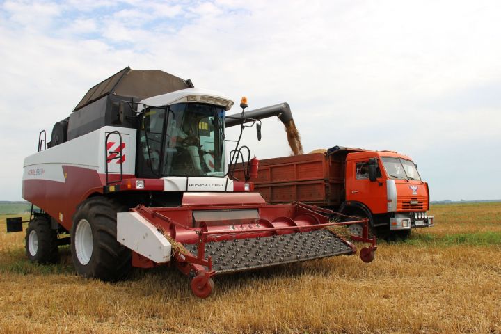 В Татарстане намолотили первый миллион тонн зерна