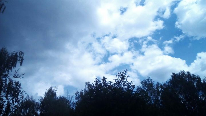 Погода в Тетюшах на  9 августа: днем местами небольшой дождь