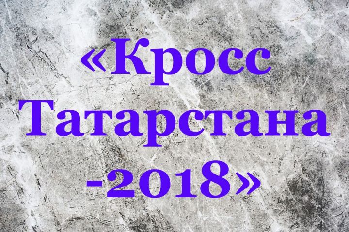 В Тетюшах пройдут массовые соревнования в рамках акции «Кросс Татарстана-2018»