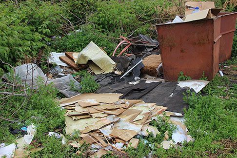 Опрос: Бытовой мусор сортирует четверть россиян