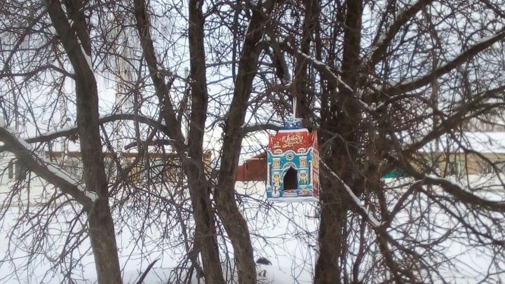 "Покормите птиц зимой",  -под таким название проходит акция в Тетюшском районе