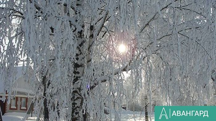 Погода на 2 января по Тетюшскому району: небольшой снег