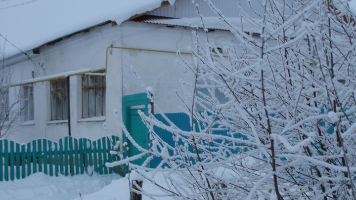 Синоптики предупредили о метели в Татарстане
