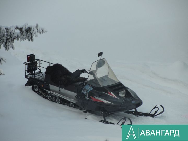В Татарстане спасатели помогли мужчине на сломавшемся снегоходе