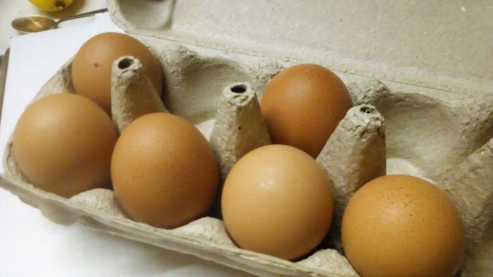 Сельхозформирования Татарстана впервые произвели один млрд яиц в год