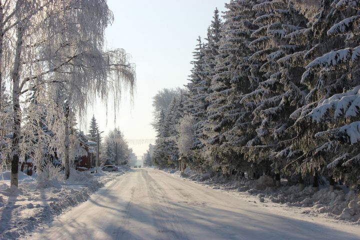 Прогноз погоды по Тетюшскому району на 30 января: на дорогах гололедица