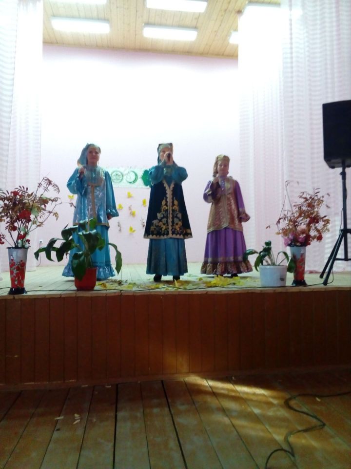 В Большетурминском СДК чествовали людей "серебряного" возраста