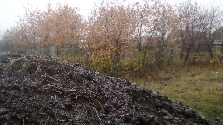 В Гидрометцентре России сообщили о сокращении зимнего периода