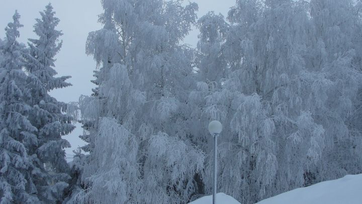 21 ноября - Михайло мосты мостит