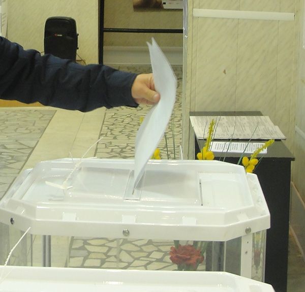В Льяшевском сельском поселении пройдет референдум