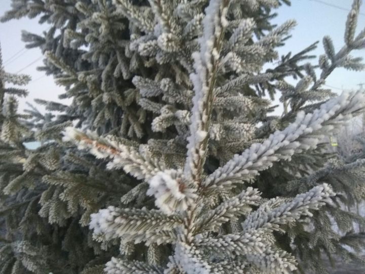 В Татарстане сохранится сухая и умеренно морозная погода