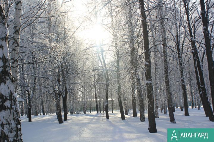 В Татарстане ожидается холодная и снежная погода
