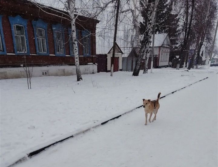 Синоптиклар Татарстан халкын яңгыр, томан һәм бозлавык турында кисәтә