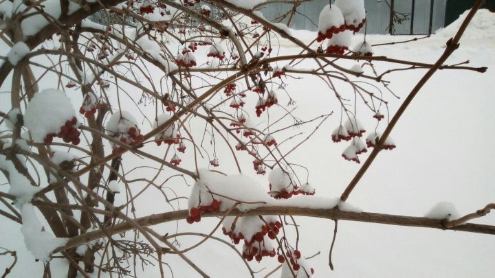 Погода по Тетюшскому району на 22 февраля: На дорогах гололедица, местами снежные заносы