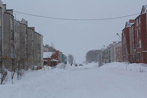 Погода по Тетюшскому району на 1 марта: синоптики прогнозируют метель с существенным ухудшением видимости