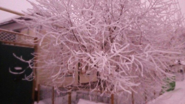Прогноз погоды на 8 февраля по Тетюшскому району: ПРЕДУПРЕЖДЕНИЕ! Метель, на дорогах снежные заносы