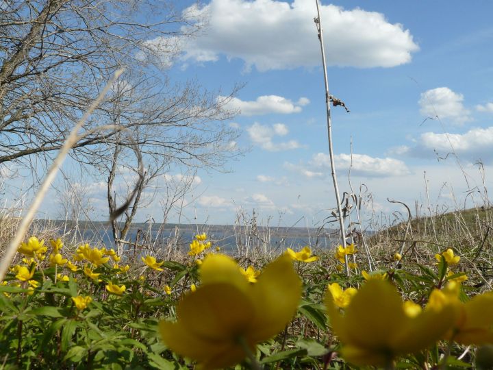 По народным приметам 1 марта - Ярилин день