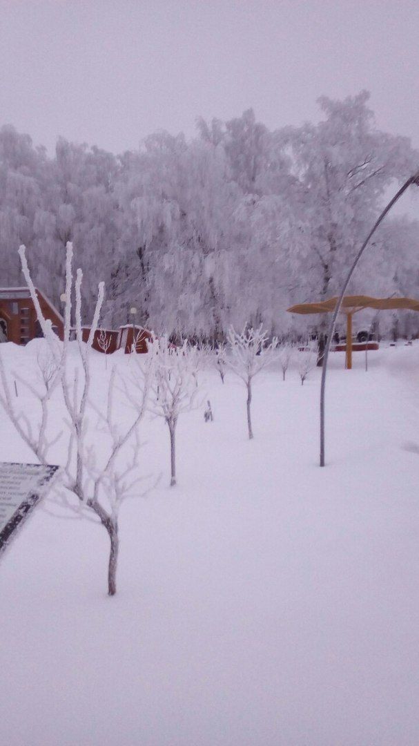 Прогноз погоды по Тетюшскому району на 4 марта: местами слабая метель