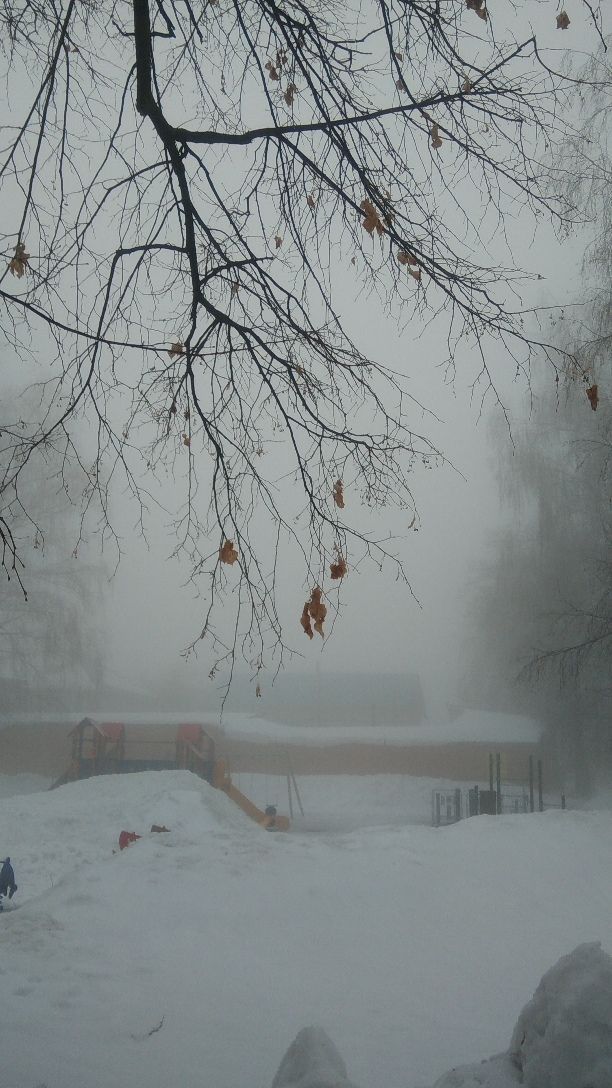 МЧС Татарстана напоминает жителям и гостям республики, как вести себя при тумане