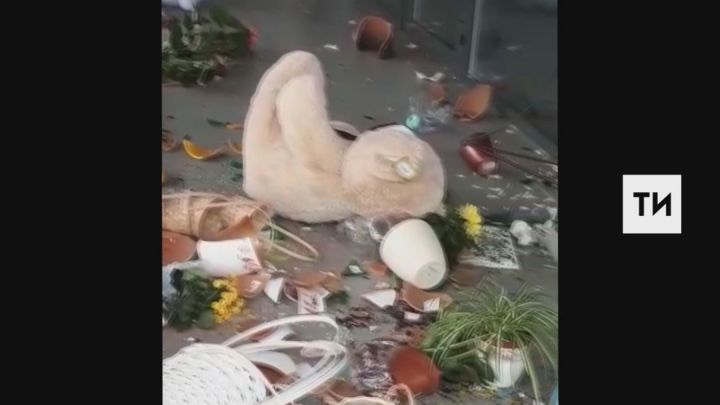 Челнинец отомстил за оскорбление возлюбленной, разгромив цветочный магазин и избив продавца